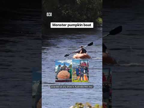 Monster pumpkin boat | ABC News