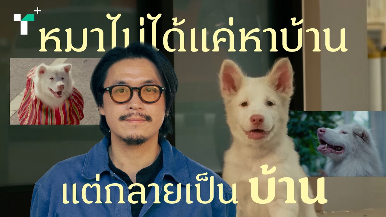 ประตูบานเล็กที่เปลี่ยนชีวิตทั้งคน และหมา #โกฮังหัวใจโกโฮม | Plus+ Interview