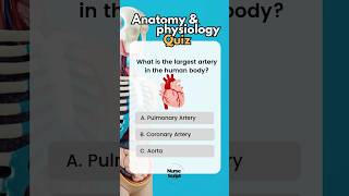 Can You Pass This Cardiovascular System Quiz? 🔥