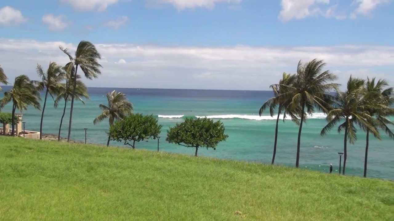 Kakaako Waterfront Park