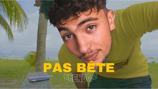 Inoxtag - PAS BÊTE (Cover AI)