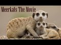 Meerkats  the movie