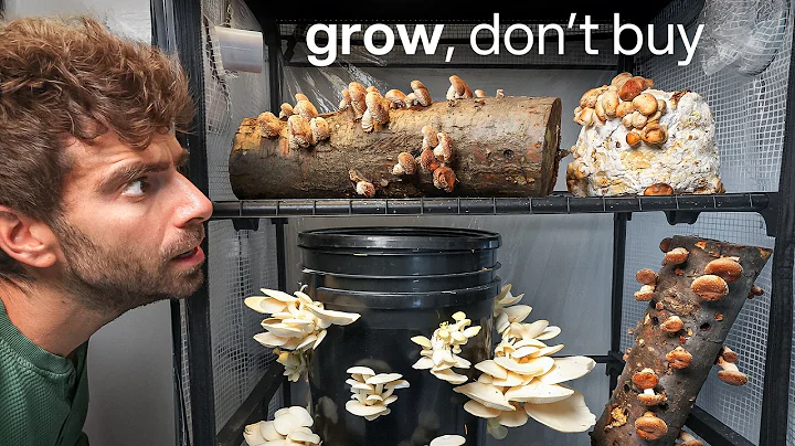 I'm never buying Mushrooms again (here's why)