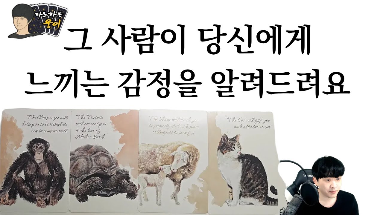 그 사람 나와 어떻게 하고 싶은 걸까? (흐름, 조언, 감정)