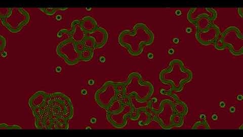 Cellular Automata - Slackermanz