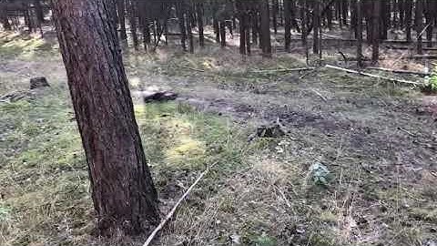 First mini run Tekno RC MT410