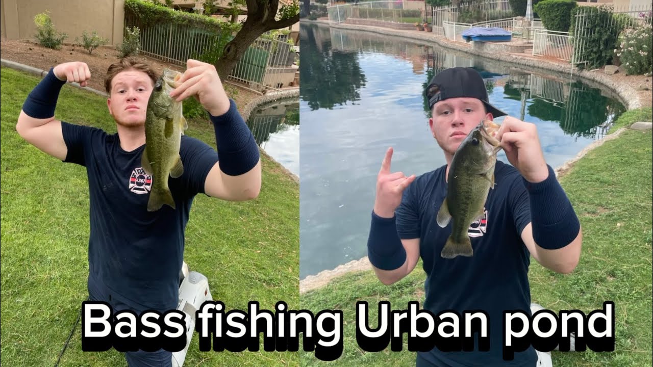 [bass fishing, urban pond] I caught two bass nice ones ￼ ￼