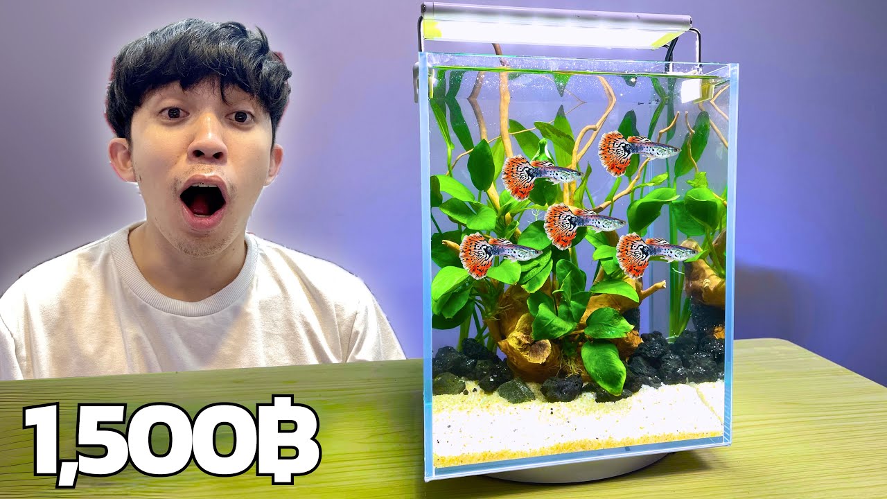 จัดตู้ปลางบ 1500 บาท