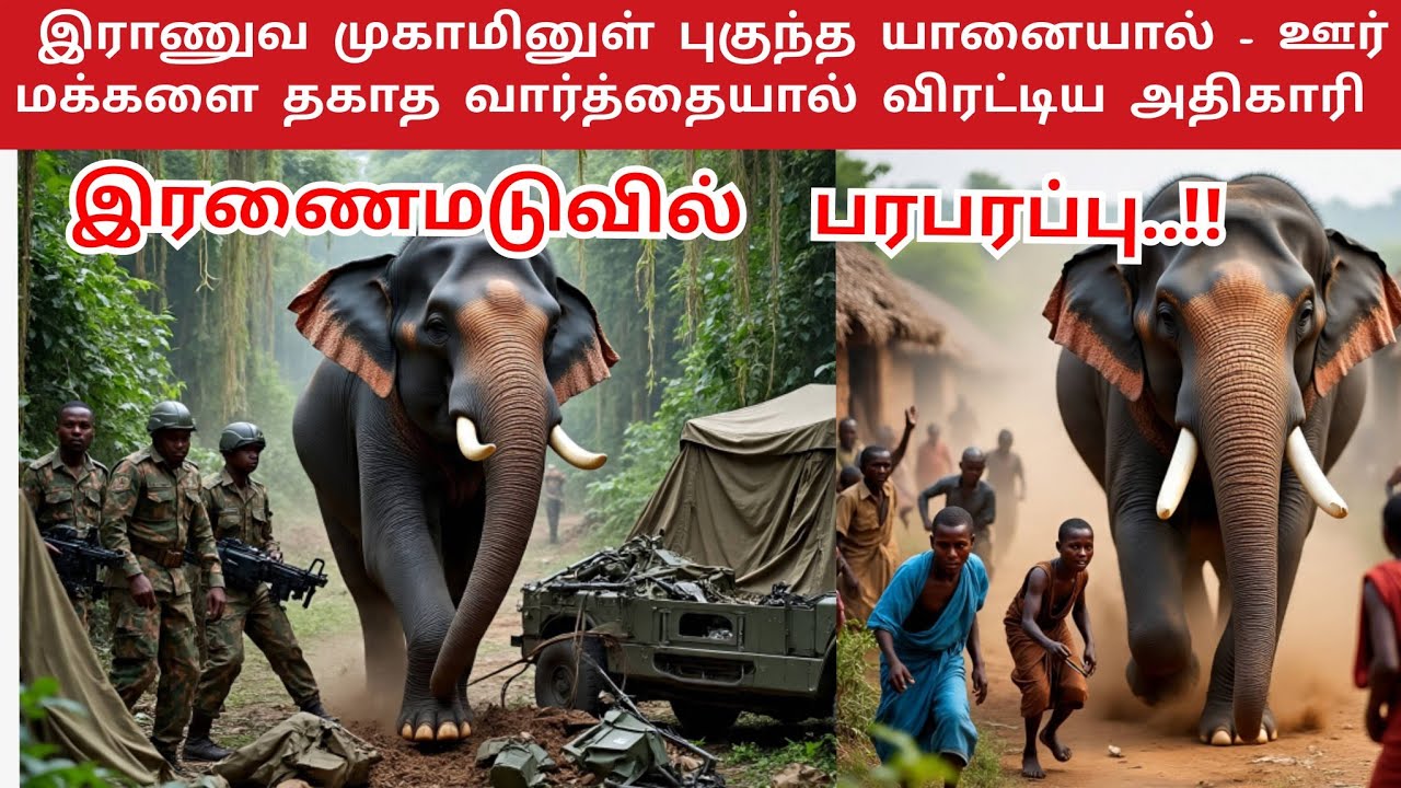 ஊரையே பதற வைத்த காட்டு யானை.!  😱🔥இராணுவ முகாமை பிரித்ததால் பரபரப்பு..!! 🚨Kilinochchi