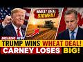 2 MINUTES AGO: Trump Demands Canadian Wheat Access — Mark Carney Slams the Door
