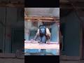 Five Uncommon Monkeys — The Last One Is Beyond Imagination#Animal #Monkey #AnimalFunFacts
