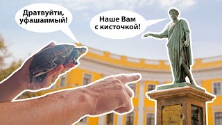 Кто ещё приплыл в Одессу после подрыва Каховской ГЭС. Большое путешествие маленькой черепахи