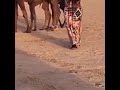 بنت البل