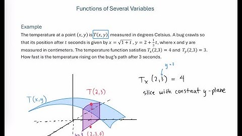 Chain Rule Application Example - Bug on a Hot Plate
