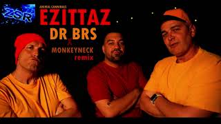 Animal Cannibals   Ezittaz 2023 DR BRS x Monkeyneck  ZsR Remix