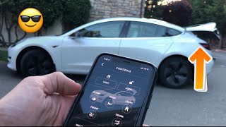Automatic Frunk/Trunk on Tesla Model 3!
