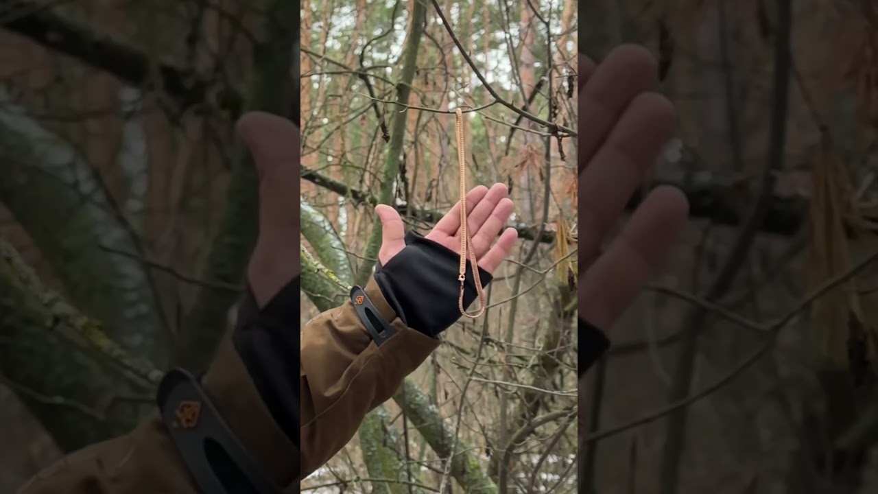 Сороки крадут драгоценности у людей и уносят в лес