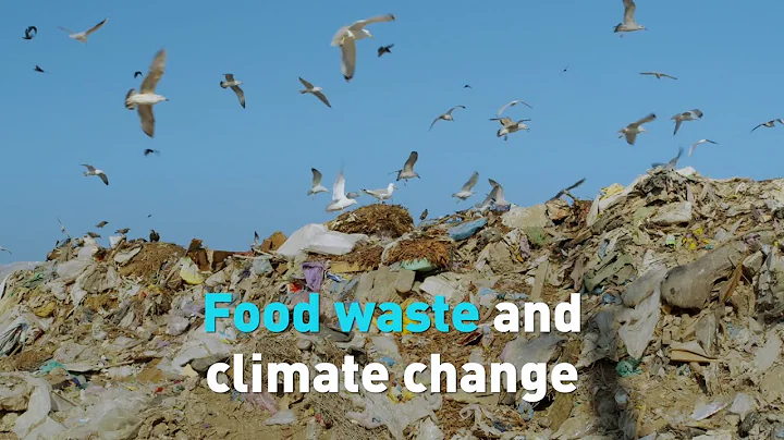 How much does food waste contribute to climate change, and what can we do about it?