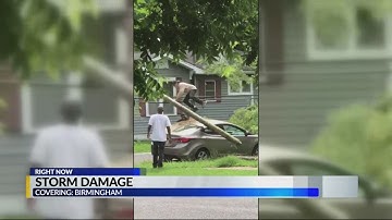 Wind and rain bring down trees, powerlines