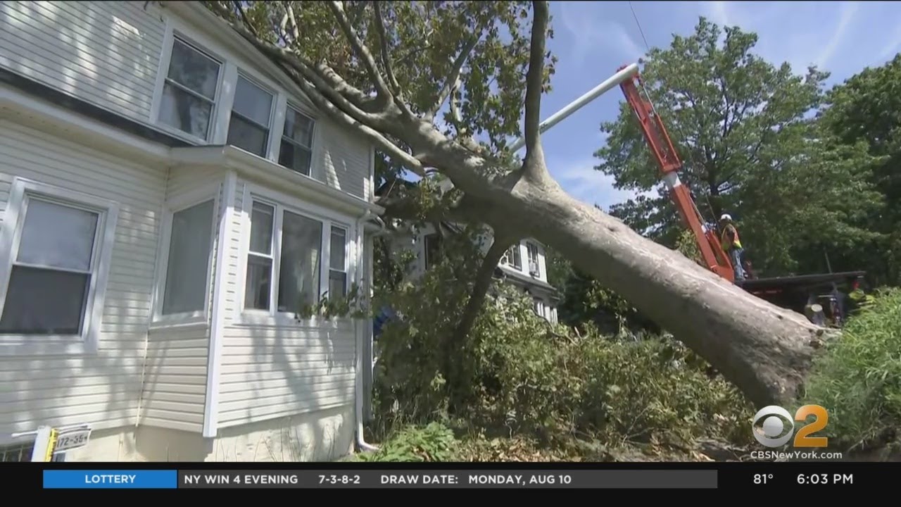 Demanding Answers CBS2 Helps Queens Homeowner After City Tree Falls On