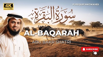 Surah Al-Baqarah Full || By Abu Bakr Al Shatri (HD) With Arabic | سورة البقره