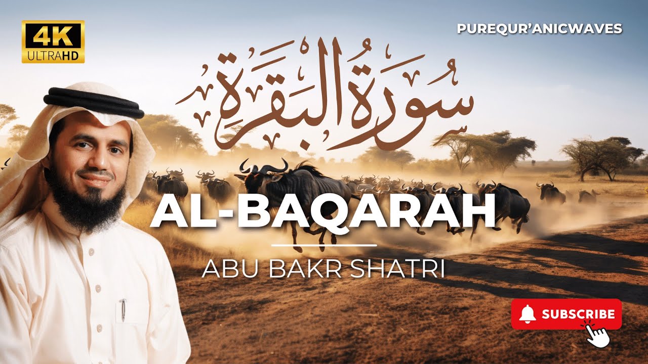 Surah Al-Baqarah Full || By Abu Bakr Al Shatri (HD) With Arabic | سورة البقره