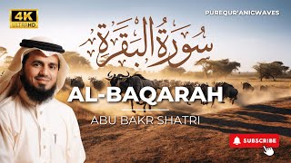 Surah Al-Baqarah Full || By Abu Bakr Al Shatri (HD) With Arabic | سورة البقره