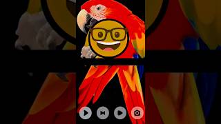 use this audio to get more views and subscribers 🔥 #youtubeshorts