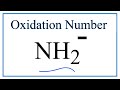 Oxidation States in Amide Ion