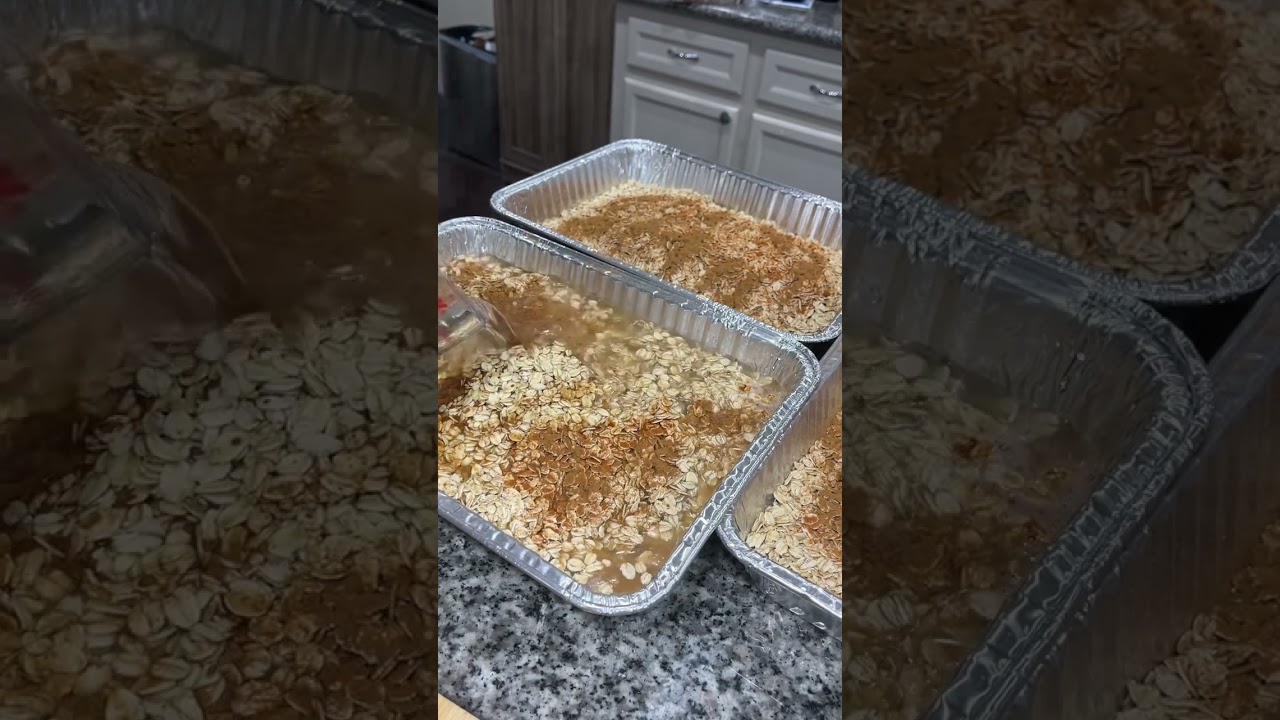 Feeding Chickens Oatmeal on a Cold Day 🐓⛄️