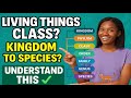 JAMB 2026 BIOLOGY: The Secret to Remembering All 5 Kingdoms of Classification of Living Things