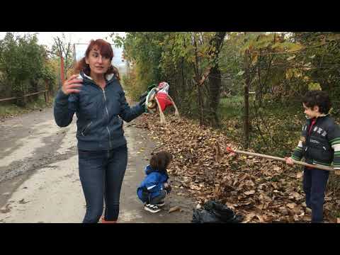 გამოიყენეთ კაკლის ფოთლები, ნებისმიერი მცენარის დაცვენილი ფოთოლი. ნიადაგის ნაყოფიერება