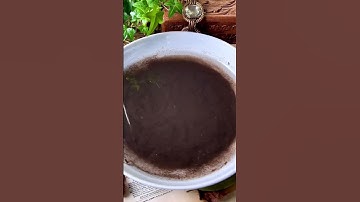 Let’s try scrying! What do you see?