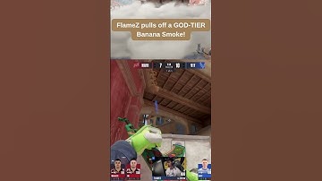 Navi vs Vitality | FlameZ