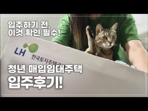   정보한스푼 청년 매입임대주택에 관한 모든 것 입주계기 입주과정 하자보수 임대료 청년매입임대주택 청년주택 Lh임대주택 룸투어