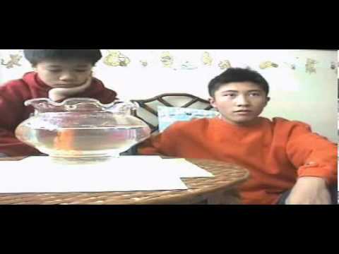 可否衝破（2003年製作）