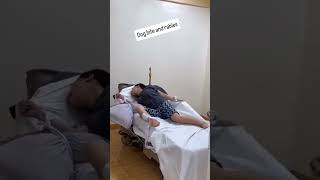 This Video Will Change How You See Dog Bites Forever Rabies Awareness