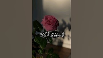ٱلۡخَبِيثَٰتُ لِلۡخَبِيثِينَ ||#حمزة_بوديب  #سورة_النور