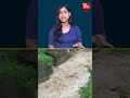 Heavy rain और Floods से कई राज्यों में तबाही, Gujarat से Kashmir तक बारिश का कहर!