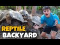 LARGEST BACKYARD CAGE By CAGE REPTILE TOUR!! (crazy)