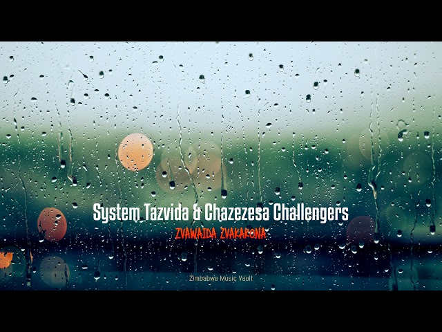 System Tazvida  - Zvawaida Zvakakona class=