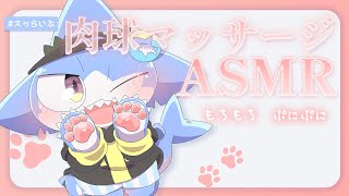 【ASMR】肉球🐾ぷにもち💕まっさーじだよっ✨#02【サメ怪獣Vtuber★スゥ】