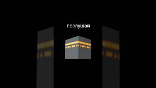 послушай #imams #искренность #имамы #ислам #коран #интересное