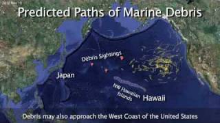 Japanese Tsunami Debris Scatters in the Pacific