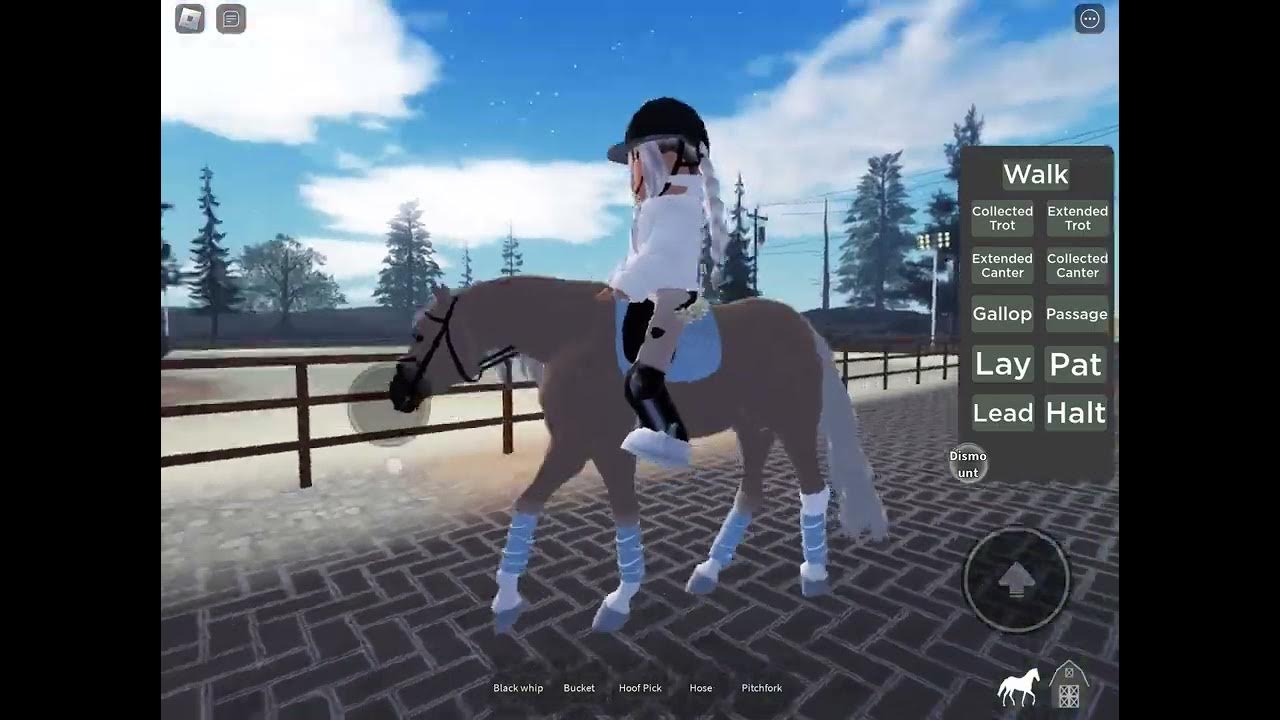 Horse Riding For Kids Near Me Horse Riding For Kids Near Me