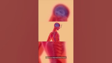 Tesla’s Robot Just Got Upgraded (And It’s Terrifying)