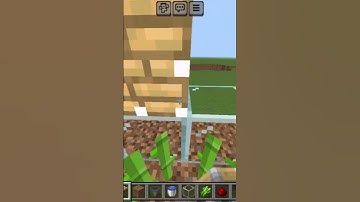 How to make a minecraft automatic sugar cane farm #minecraft #shorts #shortsfeed @cyber69shorts