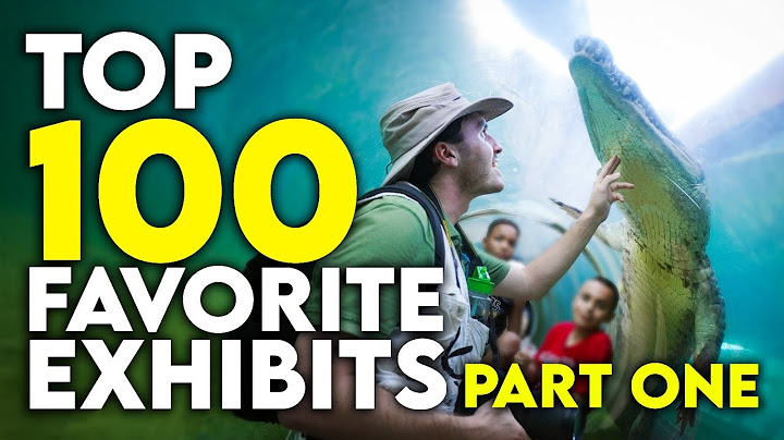 Top 100 Favorite Zoo Exhibits - PART ONE (50-100)