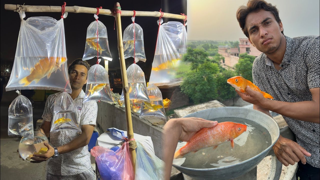 New Fish La Kr Aya Or Mar B Gi