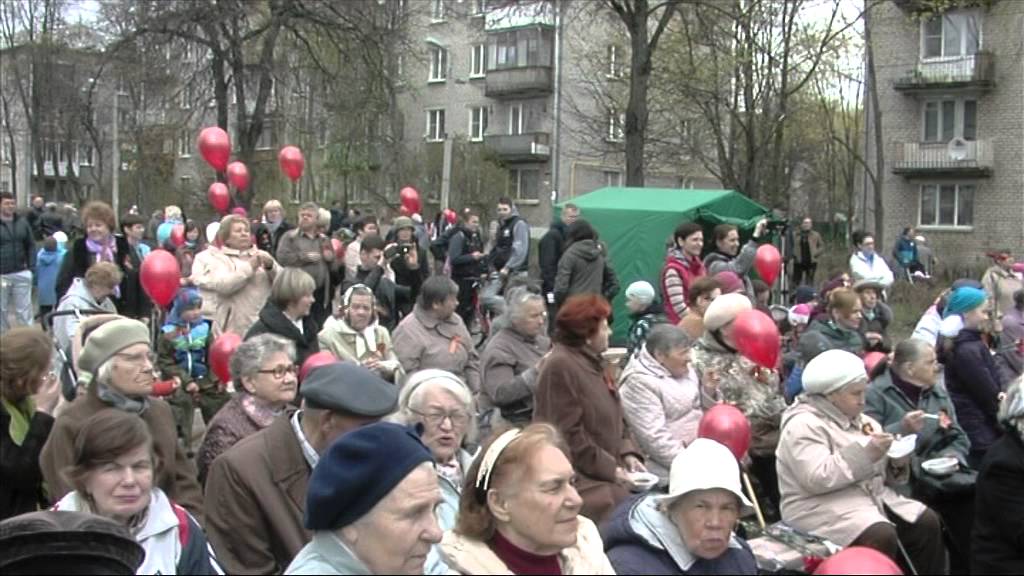 Поликлиника кузьмолово. Кузьмолово. Кузьмолово лайф. Победы 11 Кузьмолово. Кузьмолово 2022.